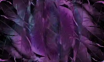 제천성지병원 예약 및 진료시간 알아보자