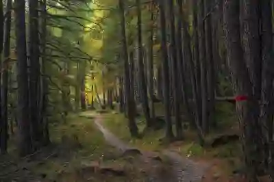 조선대학교치과병원 예약 방법과 꿀팁 알아보기