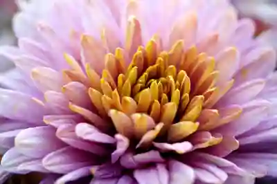 조은내일치과병원 임플란트와 크라운 비용 알아보기 조은내일치과병원 임플란트와 크라운 비용 알아보기
