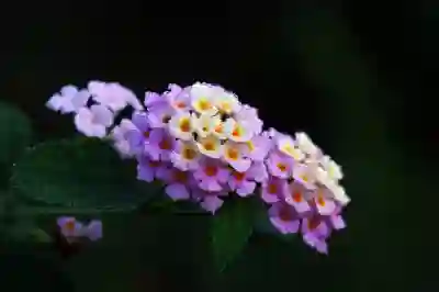 창원행복한요양병원 예약 및 진료시간 알아보자