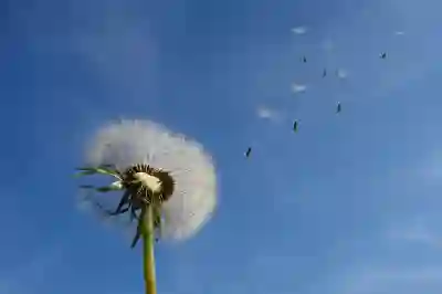 경산선요양병원 예약과 진료시간, 전문의 추천까지 한눈에 살펴보기