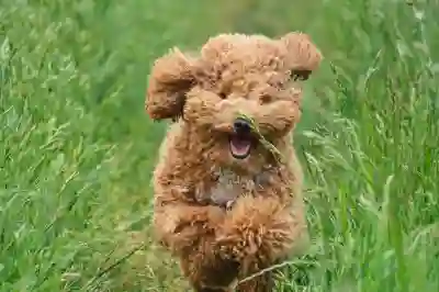 고령군립요양병원 예약 어플과 진료시간 완벽 가이드