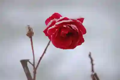 광주광산튼튼JH한방병원 예약과 진료시간 완벽 가이드 광주광산튼튼JH한방병원 예약과 진료시간 완벽 가이드