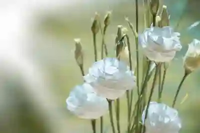 대전서구대청병원 예약 및 진료 정보 완벽 가이드
