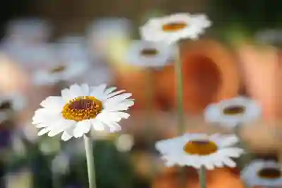 유성한가족요양병원 예약과 진료시간 완벽 가이드!
