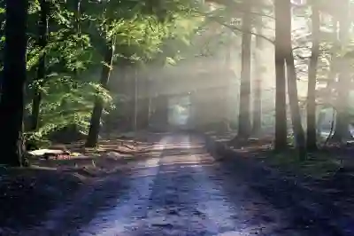 부산성모병원 예약과 진료시간 완벽 가이드와 모바일 앱 활용법 알아보기