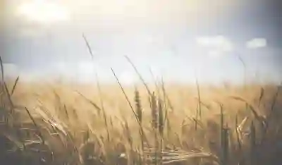 서울노원강북연세병원 예약과 진료시간 완벽 가이드 서울노원강북연세병원 예약과 진료시간 완벽 가이드