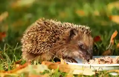 성남분당베스트병원 예약 및 진료 정보 완벽 가이드