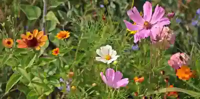 안산클래스병원 예약 앱 사용법과 주말 진료 시간 완벽 가이드 안산클래스병원 예약 앱 사용법과 주말 진료 시간 완벽 가이드
