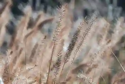 한방 치료의 새로운 기준, 제천 대원교육재단 세명대학교 한방병원 예약과 진료시간 완벽 가이드