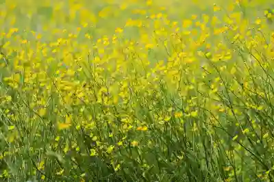 창원근로복지공단 창원병원 이용 가이드와 전문의 소개