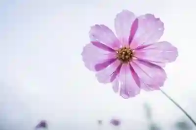 합천삼성합천병원 예약과 진료시간 완벽 가이드! 전문의 추천까지 확인해보세요 합천삼성합천병원 예약과 진료시간 완벽 가이드! 전문의 추천까지 확인해보세요