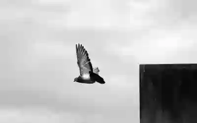 광주 에어컨프라자를 쉽게 이용하는 4가지 꿀팁