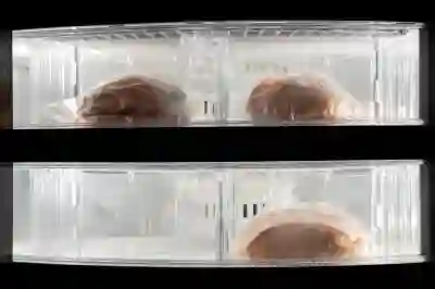 가전제품 리퍼 김치냉장고 쉽게 구매하는 방법 알아보자