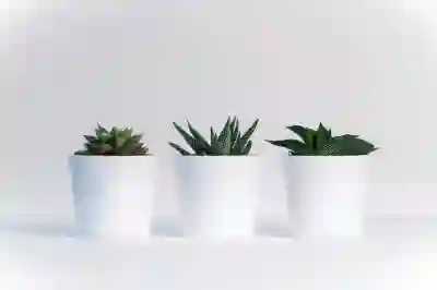 대우 소형냉장고 완벽 활용하는 꿀팁 알아보자