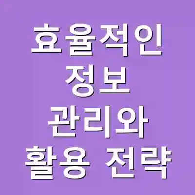 효율적인 정보 관리와 활용 전략