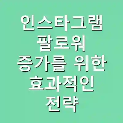 인스타그램 팔로워 증가를 위한 효과적인 전략