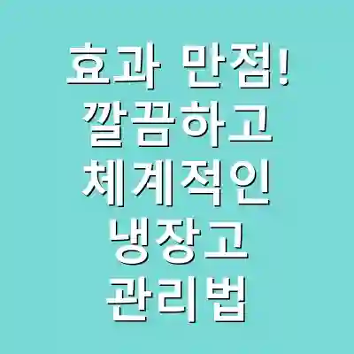 효과 만점! 깔끔하고 체계적인 냉장고 관리법