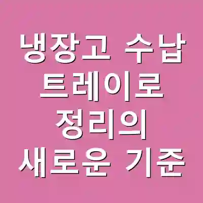 냉장고 수납 트레이로 정리의 새로운 기준