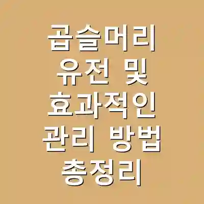 곱슬머리 유전 및 효과적인 관리 방법 총정리