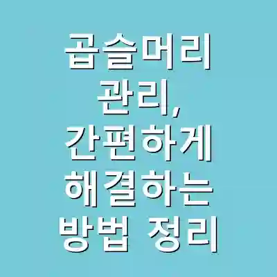 곱슬머리 관리, 간편하게 해결하는 방법 정리